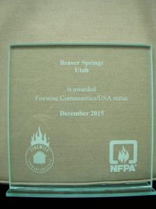 2015 Firewise Award
